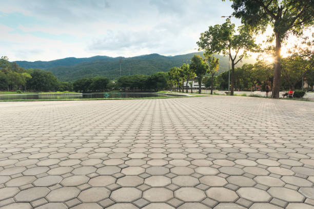 Best Brick Driveway Pavers  in Ester, AK