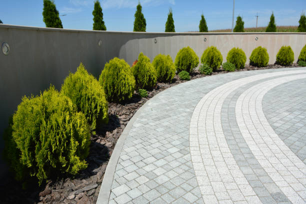 Professional Driveway Pavers in Ester, AK